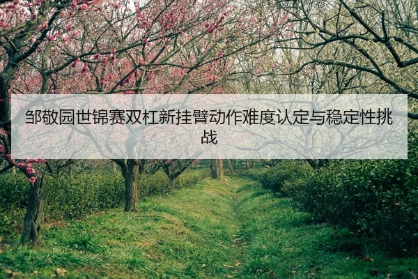 zou-jing-yuan-shi-jin-sai-shuang-gang-xin-gua-bi-dong-zuo-nan-du-ren-ding-yu-wen-ding-xing-tiao-zhan-2-736.jpg