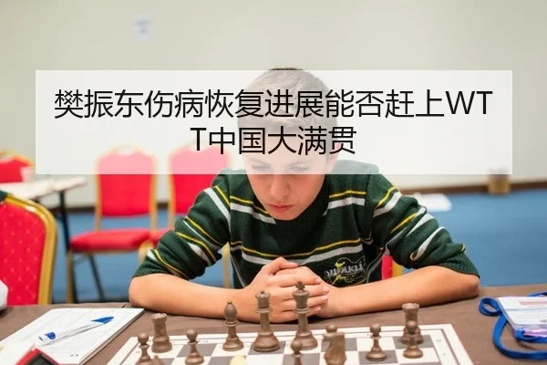 樊振东伤病恢复进展能否赶上WTT中国大满贯